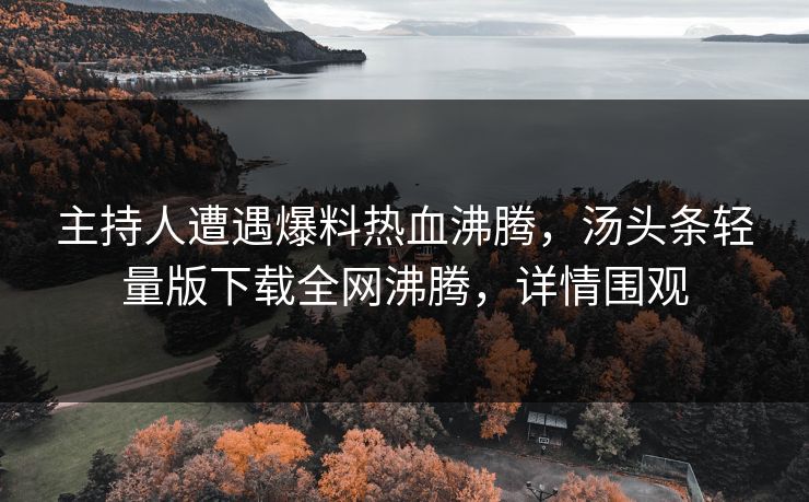 主持人遭遇爆料热血沸腾，汤头条轻量版下载全网沸腾，详情围观