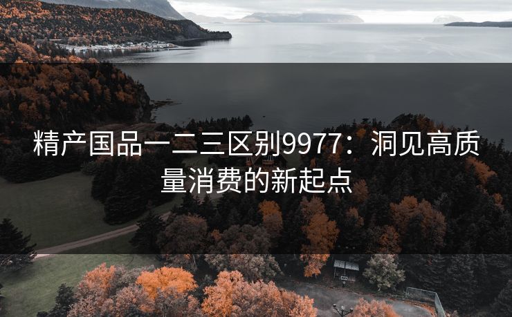 精产国品一二三区别9977：洞见高质量消费的新起点