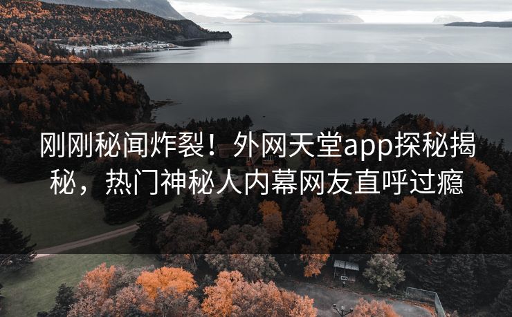 刚刚秘闻炸裂！外网天堂app探秘揭秘，热门神秘人内幕网友直呼过瘾
