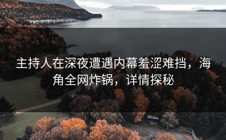 主持人在深夜遭遇内幕羞涩难挡，海角全网炸锅，详情探秘