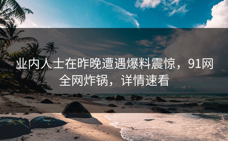 业内人士在昨晚遭遇爆料震惊，91网全网炸锅，详情速看