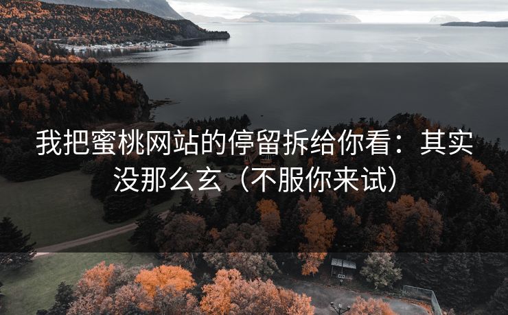 我把蜜桃网站的停留拆给你看：其实没那么玄（不服你来试）