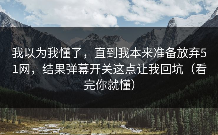 我以为我懂了，直到我本来准备放弃51网，结果弹幕开关这点让我回坑（看完你就懂）